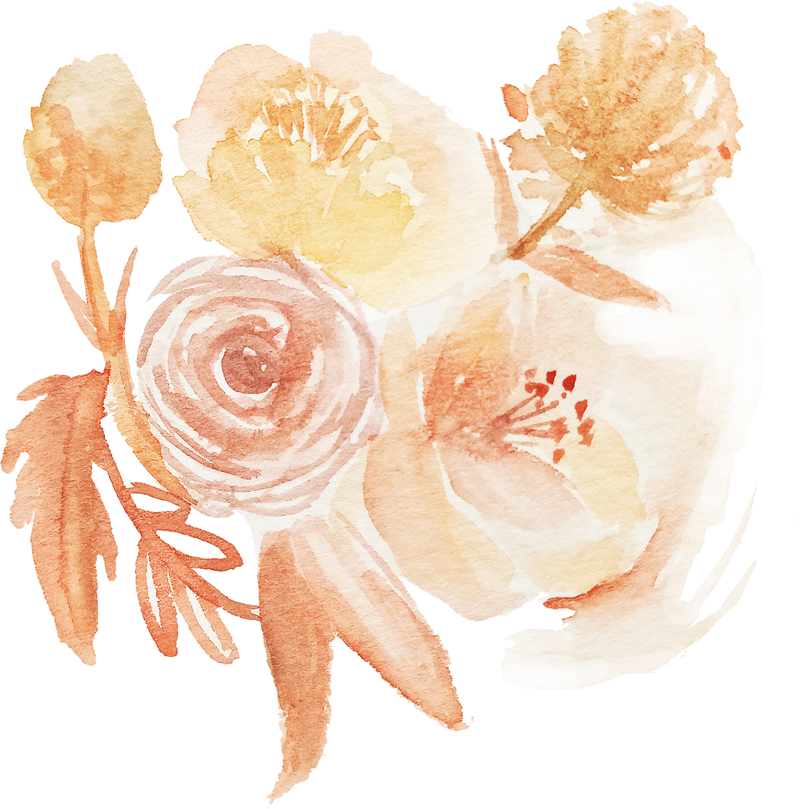 Watercolor Flowers Illustration