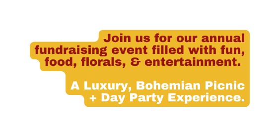 Join us for our annual fundraising event filled with fun food florals entertainment A Luxury Bohemian Picnic Day Party Experience